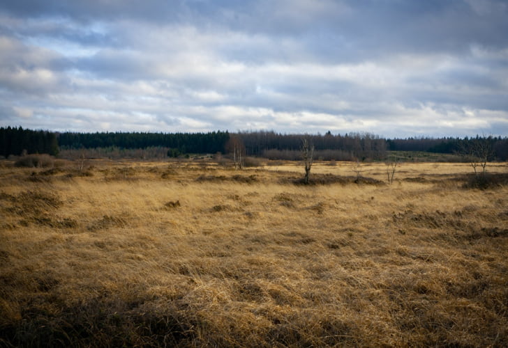 land clearing