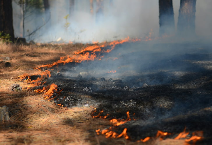 controlled burning in land clearing